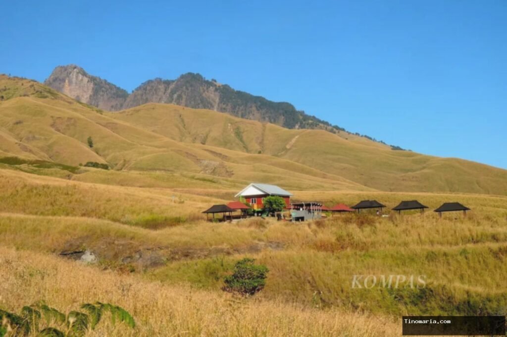 Rinjani: Pesona Memukau, Bahaya Mengintai | Tips Aman Mendaki