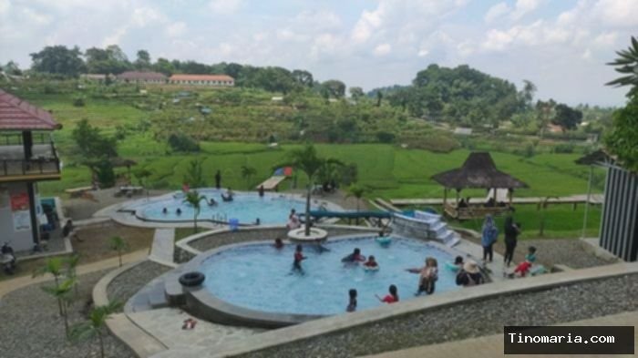 Pesona Sawah Bengkok Majalengka: Cafe, Kolam Renang & Keindahan Alam