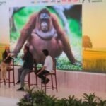 Aksi! Kompetisi Foto & Video Satwa Liar Taman Safari