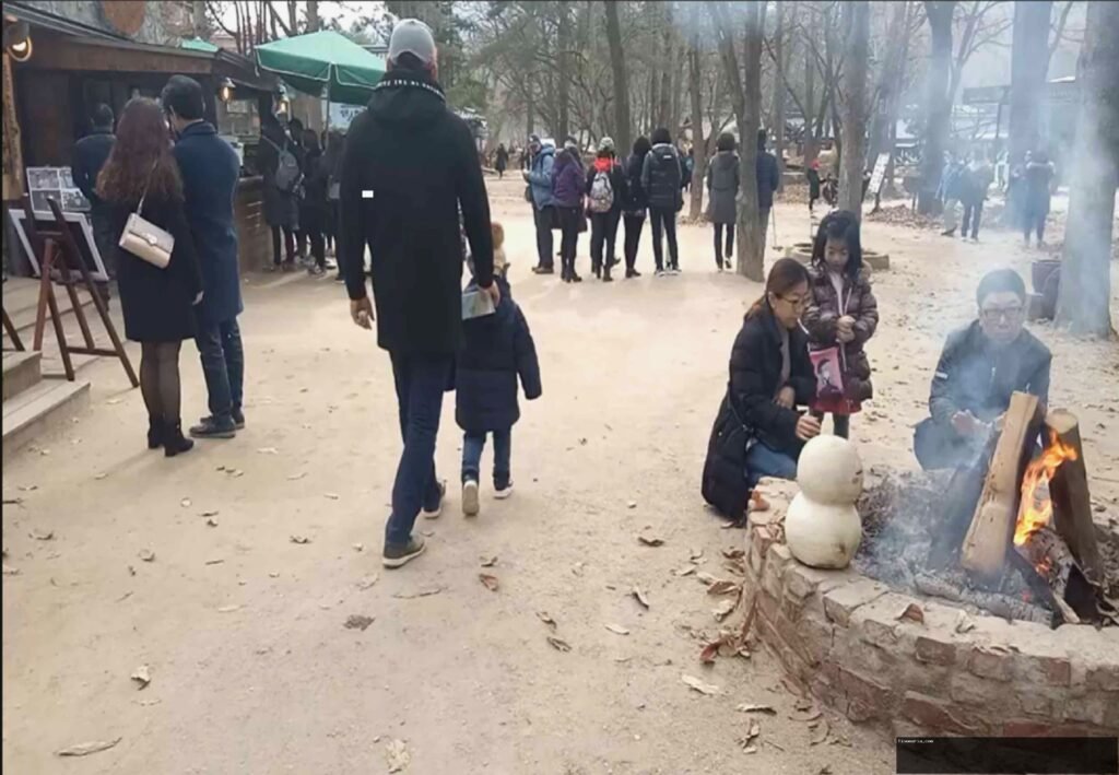 Nami Island: Petualangan Romantis & Pemandangan Memukau