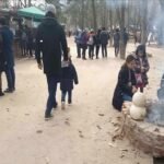 Nami Island: Petualangan Romantis & Pemandangan Memukau