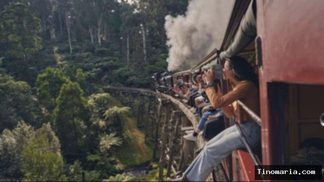 Liburan Keluarga di Melbourne: 5 Destinasi Seru & Edukatif