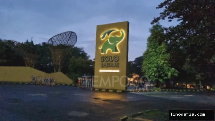 Liburan Hemat! Solo Safari Gratiskan Tiket Anak 6 Tahun