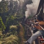 Petualangan Keluarga di Victoria: Destinasi Liburan Terbaik