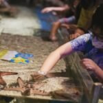 Rekomendasi Tempat Wisata Anak untuk Libur Sekolah 2025
