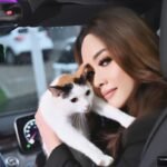 Pulau Kucing Kepulauan Seribu: Lirabica Tolak Proyek Wisata
