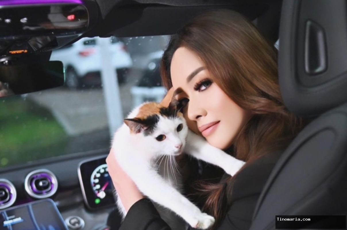 Pulau Kucing Kepulauan Seribu: Lirabica Tolak Proyek Wisata