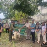 Liburan Sekolah & Idul Adha di Swiss-Belhotel Jayapura: Paket Menarik!