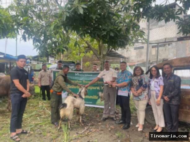 Liburan Sekolah & Idul Adha di Swiss-Belhotel Jayapura: Paket Menarik!