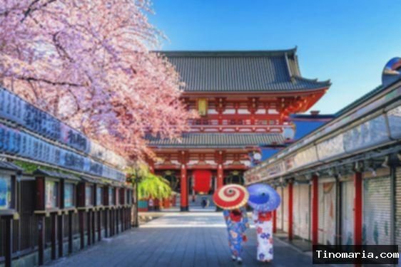 Itinerary Jepang 5 Hari, Menikmati Tokyo Hingga Trip ke Gunung Fuji