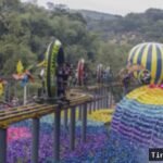 Liburan Sekolah di Bogor? 5 Destinasi Keluarga Seru!