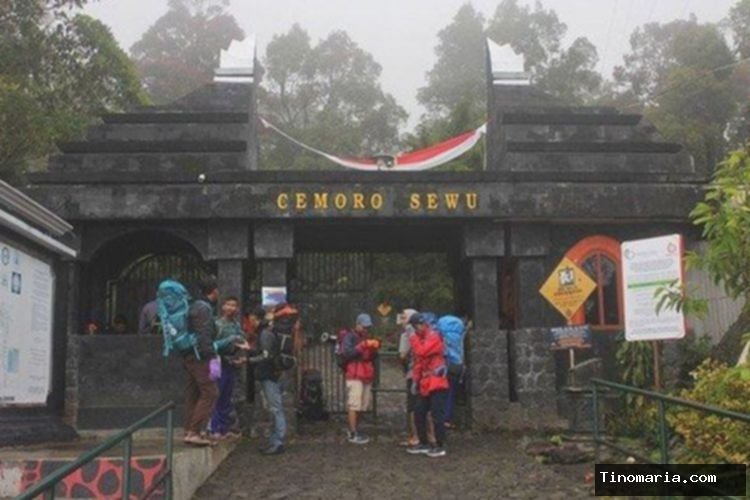 Ritual 1 Suro di Gunung Lawu: Ratusan Pendaki Lansia Naik Tanpa Alas Kaki, Bawa Dupa dan Bunga