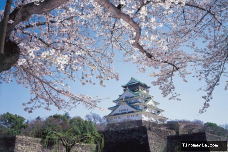 Jelajahi Osaka Castle: 4 Tips & Trik Liburan Anti Pegal