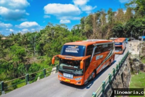 5 Tips Pilih Bus Pariwisata yang Tepat untuk Liburan