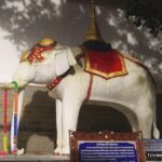 5 Fakta Negara Thailand, Negeri Gajah Putih yang Penuh Tradisi