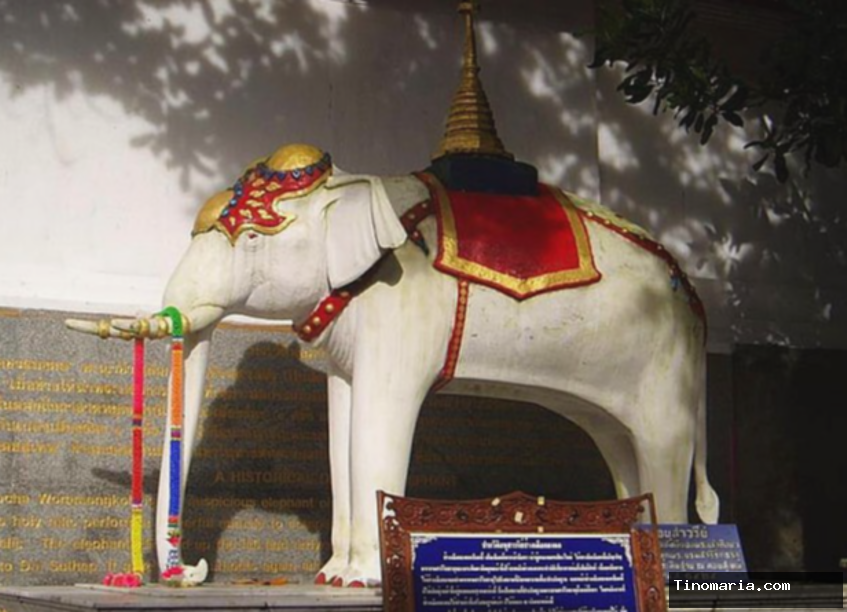 5 Fakta Negara Thailand, Negeri Gajah Putih yang Penuh Tradisi