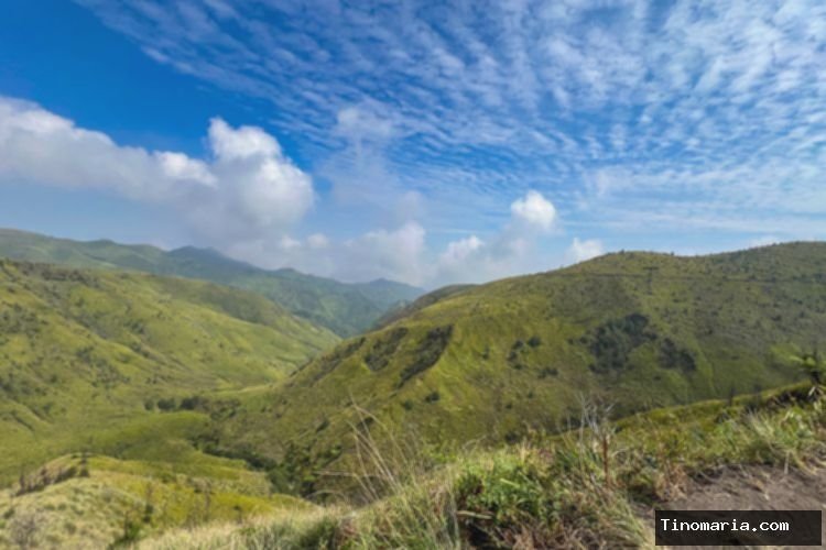 Bukit Premium, Indahnya Sabana yang Lagi Viral di Pasuruan Jawa Timur
