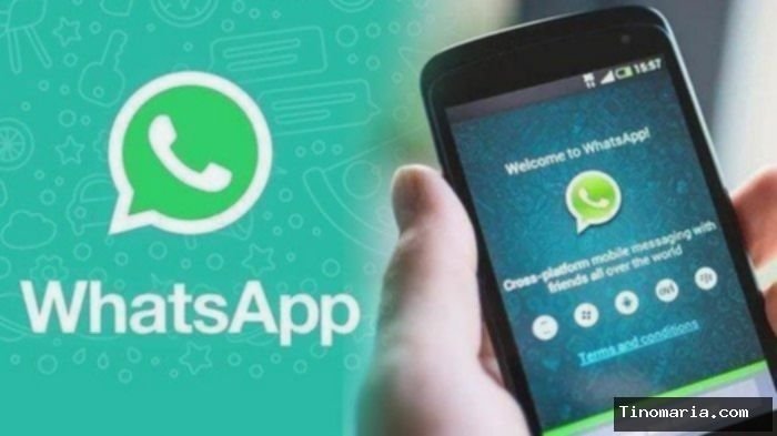 2 WhatsApp di 1 HP? Begini Cara Mudah Pakai 2 Nomor Sekaligus