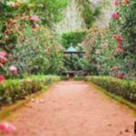 7 Spot Wisata Gratis Bogor:  Santai & Hemat Akhir Pekan