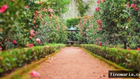 7 Spot Wisata Gratis Bogor:  Santai & Hemat Akhir Pekan
