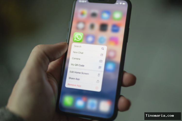 Chat WA Hilang?  Pulihkan Cepat dari Backup!