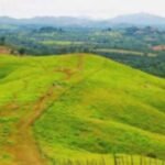 Bukit Rimpi Kalimantan Selatan: Teletubbies Hill-nya Indonesia!