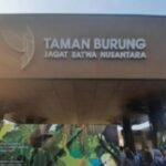 11 Wahana Seru Taman Mini Indonesia Indah: Gratis & Berbayar!