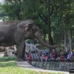 Rekomendasi Destinasi Wisata di Jakarta yang Menarik Dikunjungi saat Libur Sekolah