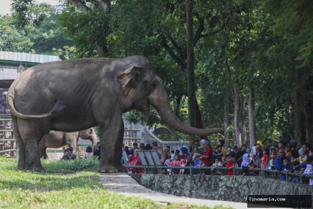 Rekomendasi Destinasi Wisata di Jakarta yang Menarik Dikunjungi saat Libur Sekolah