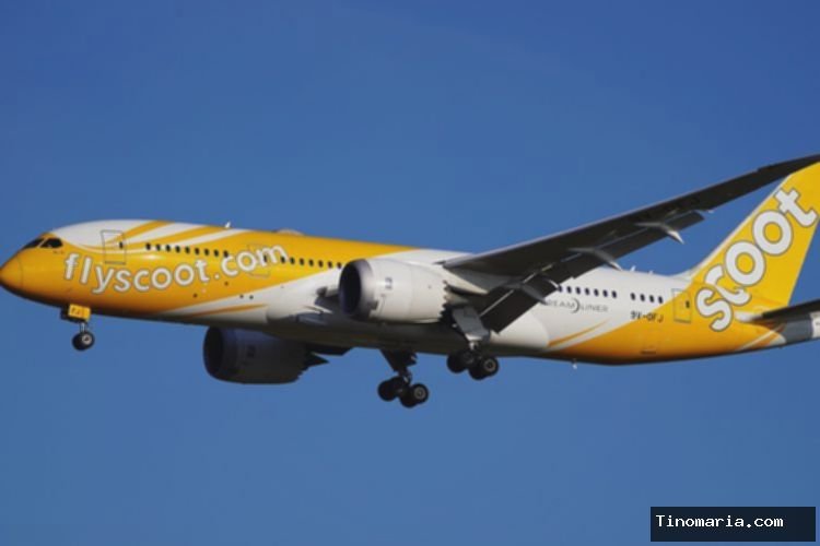 Scoot Gantikan Jetstar Asia: Rute Penerbangan ke Indonesia Terdampak?