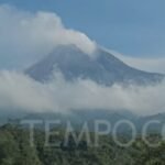 Pendaki Nekat Tantang Maut: Puncak Gunung Merapi