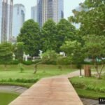 Hutan Kota GBK: 4 Aktivitas Seru + Piknik Gratis!
