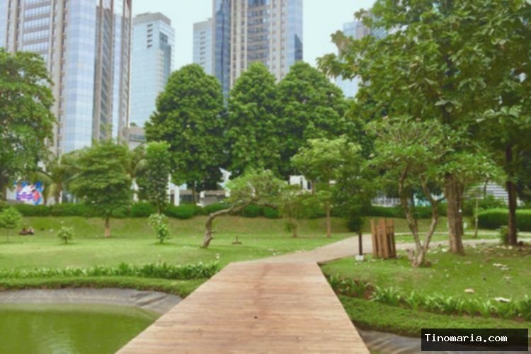 Hutan Kota GBK: 4 Aktivitas Seru + Piknik Gratis!