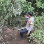 Jip Wisata Bromo Anjlok ke Jurang 60 Meter, Ini Nasib Dua Wisatawan Asal China