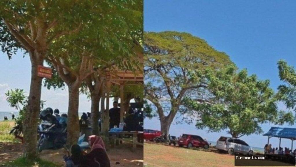 Tanah Laut Kalsel Punya Wisata Pantai Hidden Gem,Hawa Sejuk Banyak Pepohonan,Pemandangan Indah