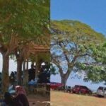 Tanah Laut Kalsel Punya Wisata Pantai Hidden Gem,Hawa Sejuk Banyak Pepohonan,Pemandangan Indah