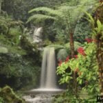 10 Surga Tersembunyi Purwokerto: Destinasi Wisata Wajib!