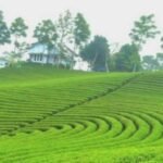 8 Rekomendasi Wisata Alam di Lebak Banten yang Cocok Buat Liburan Keluarga saat Libur Sekolah
