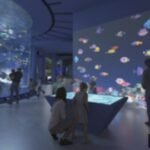 Oceanarium Singapura Grand Opening 24 Juli: Jelajahi Dunia Bawah Laut!