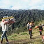Porter vs Guide: Mana yang Terbaik untuk Pendakian Gunungmu?