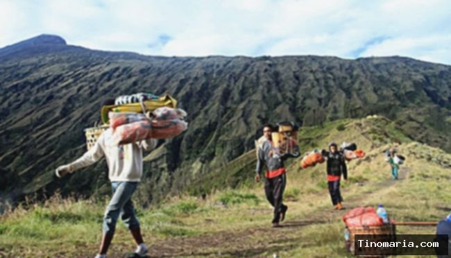 Porter vs Guide: Mana yang Terbaik untuk Pendakian Gunungmu?
