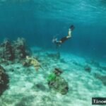 5 Tempat Snorkeling di Bali dengan Pemandangan Bawah Laut yang Indah
