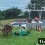 Liburan Sekolah Lebih Bermakna Bersama Archipelago dengan School Holideals