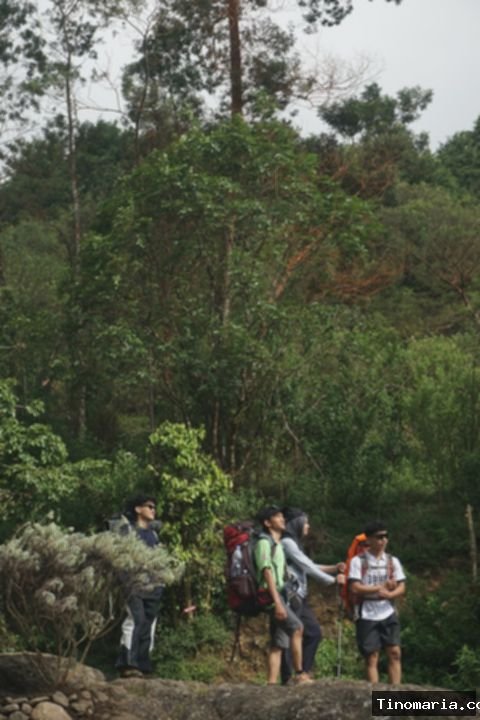Pendakian Gunung Sumbing: Mitos vs Realita Pengalamanku