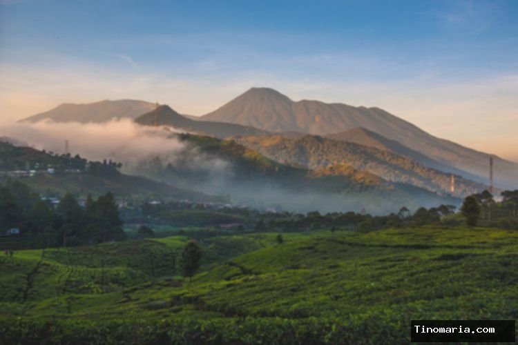 Pendaki Ilegal Gunung Gede Pangrango akan di-Blacklist dan Denda 5 Kali Lipat