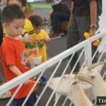 Menghabiskan Libur Sekolah dengan Bermain Bersama Satwa Lucu di Pluit Village