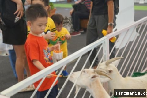 Menghabiskan Libur Sekolah dengan Bermain Bersama Satwa Lucu di Pluit Village